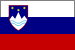 Flagge Slowenien 20 x 30 cm